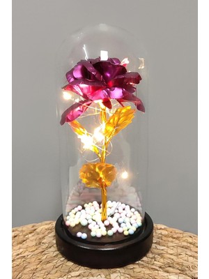 Ayena Moda Çiçek Işıklı LED Fanus