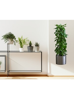 Runaway Saksılı Bitki Yapışkanlı Duvar Stickerı 90x30 cm Şeffaf Lazer Kesim