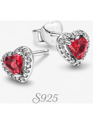 Hector Co Jewellery S925 Kırmızı Kalp Çivi Küpeler