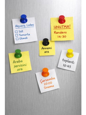 Iğne Buzdolabı Magneti 6'lı Set