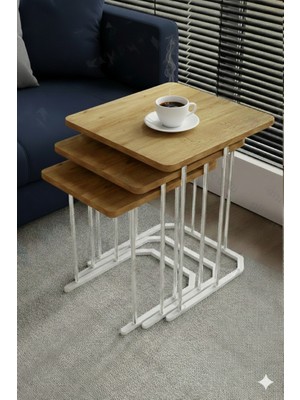 Dzgn Home Kardelen Gümüş Atlantik Mdf 3 Lü Kare C Zigon Sehpa