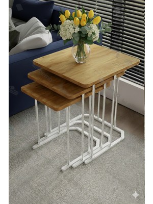 Dzgn Home Sakura 3'lü Metal Gümüş Atlantik Mdf Kare Zigon Sehpa Takımı Orta Sehpa Yan Sehpa