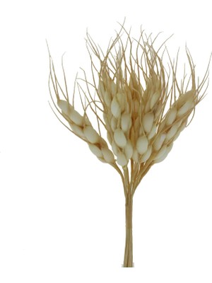 Mutlu Adım 3 Demet (30 Adet) 5,5cm Mini Yapay Başak Buğday Başağı Pudra