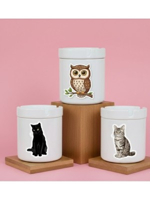 Sartre Art Gece Kedi & Baykuş Rüyası 3'lü Kapaklı Kokusuz Küllük Seti