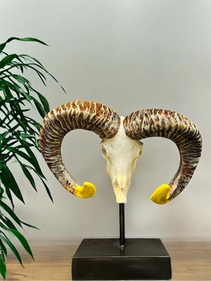 NuN Studio Koç Boynuzu Biblo