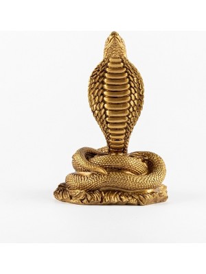 NuN Studio Kobra Biblo Altın