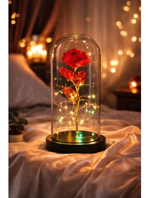 Deco Elit Sevgiliye Dekoratif Solmayan Sonsuzluk Gülü Gün Işığı Peri LED Işıklı Büyük Boy Fanusta Gül Kırmızı