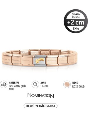 Normadia Şık 18 Ayar Altın ve Çelik Kayan Yıldız Bileklik, Zarif ve Modern Tasarım