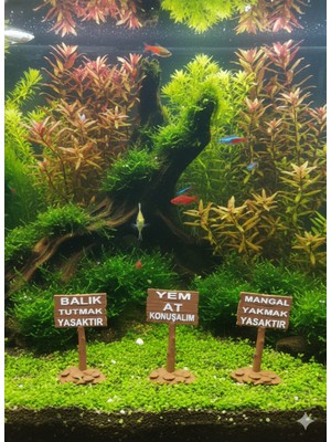 Etkrtl-Akvaryum Tabela Dekoru Bty Yat Myy 8x5 cm