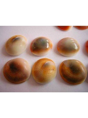 PremiumPort Yılancık Taşı, Şifa Taşı, Dişi ve Erkek Karışık, 17 Adet, Enerji ve Denge