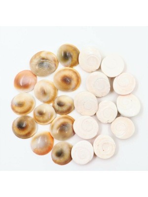 PremiumPort Yılancık Taşı Karışık 43 Adet, Doğal ve Enerji Dolu Taş Seti