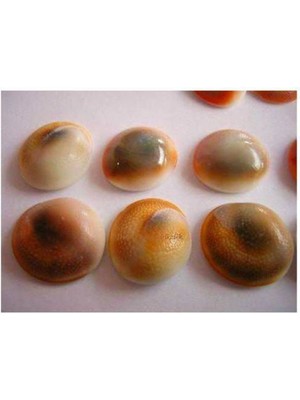 PremiumPort Yılancık Taşı Seti, 33 Parça, Doğal Kristal Takı ve Dekorasyon Aksesuarları