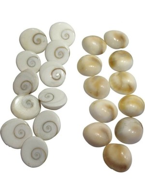 PremiumPort Yılancık Taşı 16'lı Set, Erkek ve Dişi Karışık, Doğal ve Güzel Taşlar