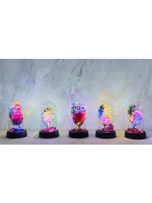 Tbl Dekor Işıklı Müzikli Romantik Büyük Gül