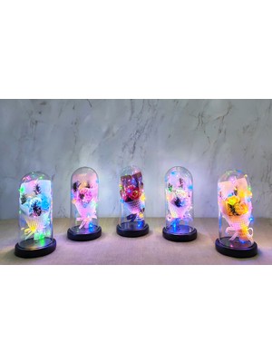 Store Mania Işıklı Müzikli Fanus Içinde Gül Buketi   STRMIA-RSTTT34