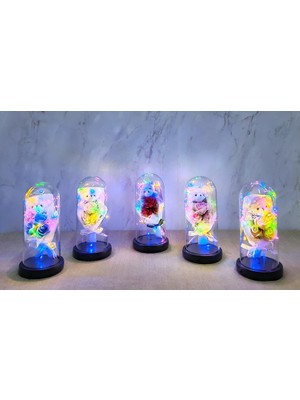 Store Mania Işıklı Müzikli Fanus Içinde Sevimli Ayıcıklı Gül Buketi  STRMIA-RSTTT34