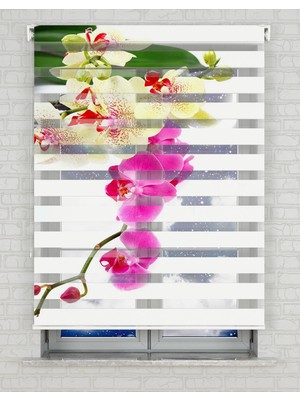 BRIGHTCOVER Orkide Çiçeği Baskılı Zebra Perde - Gece Gündüz Kullanıma Uygundur - Mutfak Perdesi | Kokusuz Mürekkeple Basılmış  Zebra Perdeler ile Sende Tarzını Yansıt! | 1 Dakikada Pratik Montaj