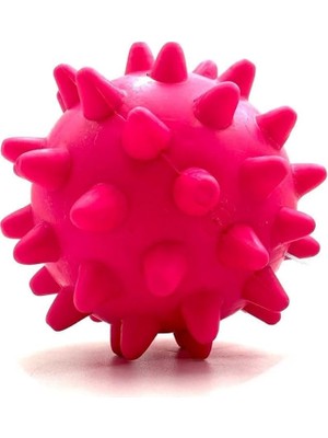 Delixa Tasma Market Mor Zilli Diş Kaşıma Ödül Maması Konulabilen Köpek Topu Oyuncağı Mor