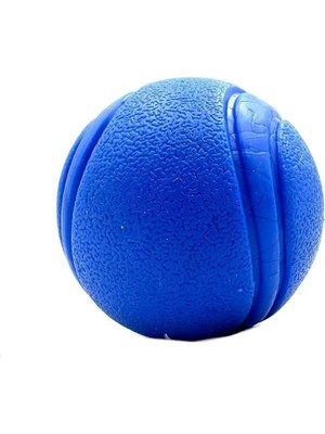 Delixa Tasma Market Mavi Yumuşak Dokulu Köpek Oyun Topu Mavi
