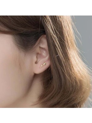 Normadia Şık Minik Lale Tasarımlı Antialerjik Çelik Küpe, Hafif ve Zarif Tasarım