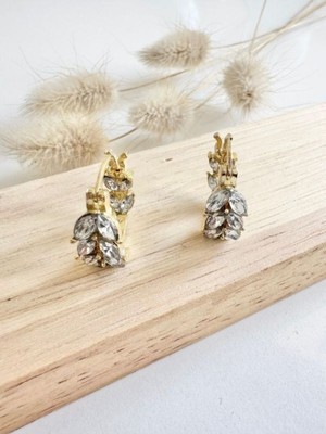 Normadia Başak Desenli Taşlı Paslanmaz Çelik Küpe, Şık ve Zarif Takı