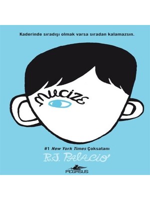 Nerm Mucize (Ciltli)