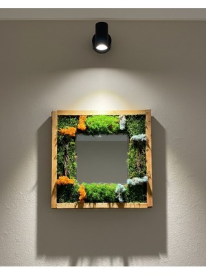 Aynalı Yosun Tablosu