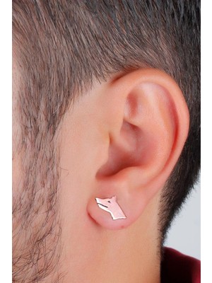 Normadia Şık Gümüş Erkek Küpe, Modern ve Zarif Tasarım, Erkek Takı Aksesuarı