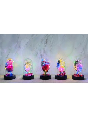 Ttt Işıklı Müzikli Romantik Büyük Gül