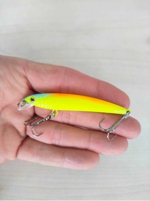 Özbience 8 Cm, 6 G Maket Balık, Kurşun Arkası Rapala, Balıkçılık Ekipmanı