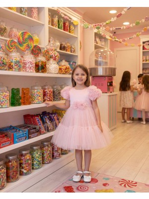 Butik Happy Kids Kız Çocuk Çiçek Detaylı Kat Kat Tül Abiye Elbise Pembe 2-6 Yaş