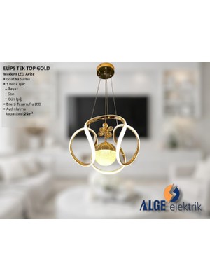 Alge Avize Elips Tek Top Gold Modern LED Avize