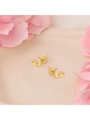 Normadia 925 Ayar Gümüş Minmal Çift Kedi ve Hilal Tasarımlı Küpe