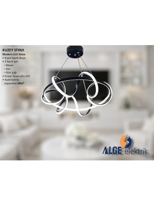 Alge Avize Kuzey Siyah Modern LED Avize