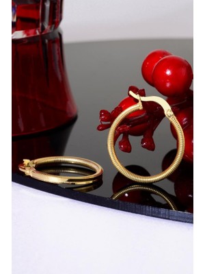 Innuendo Jewelry 925 Ayar Gümüş 22 Ayar Altın Kaplama Ajda Küpe 2 cm