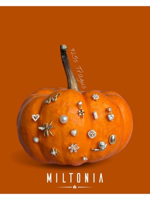 Normadia Opal Taşlı Yıldızlı Gümüş Küpe, Şık ve Zarif Tasarım