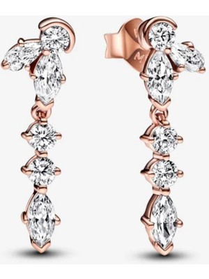 Normadia Rose Renk Işıltılı Herbaryum Minimal Damla Küpe, Şık ve Zarif Tasarım