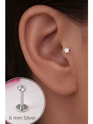 Sacce Scarves & Accessories 6 mm Çelik Yıldız Piercing Kadınlar İçin Helix Tragus Kıkırdak Tasarım