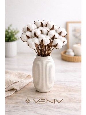 Veniv 10 Dal Buket Dekoratif Doğal Pamuk