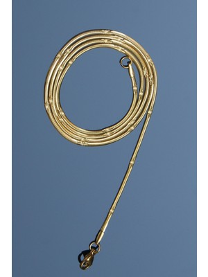 Normadia Yassı Yılan Kolye, 2mm, Altın Renk, Unisex, Kararmaz, 2 Yıl Garantili