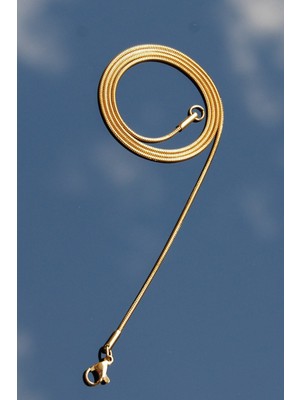 Normadia Şık Çelik Yuvarlak Yılan Kolye, Altın Renk, Unisex, 2 Yıl Garantili