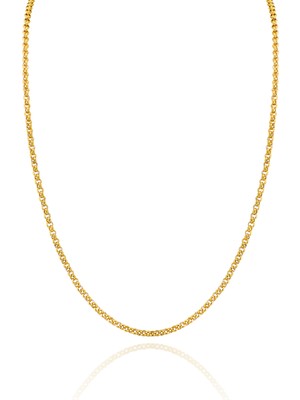 Normadia 316L Paslanmaz Çelik Gold Rolo Zincir Kolye, Suya Dayanıklı, Unisex