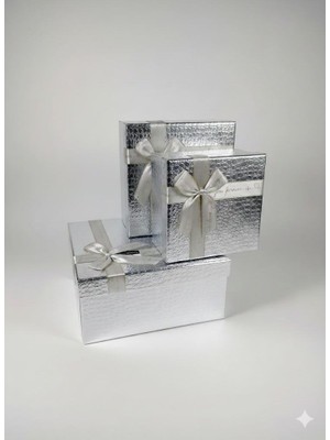 abnturk 1 Adet Özel Günler Için Gümüş Renk Hediye Kutusu (21X21X10 Cm)