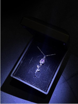 Normadia Işıklı Kutuda Şık Çelik Lale Kolye, Sevgi ve Yılbaşı Hediyesi