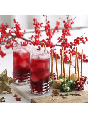 Delixa Lav Elegan 6'lı Meşrubat Bardağı