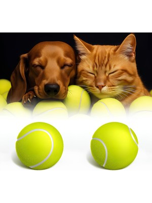 Delixa Kanji 2'li Kedi Köpek Tenis Topu | 7.5 cm Orta Boy Dayanıklı Evcil Hayvan Oyuncağı | Diş Dostu, Suda