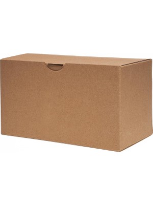 Delixa Karton Kutu - 20 x 11 x 11 cm 25 Adet