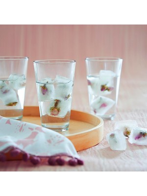 Delixa Lav Hera 6'lı Meşrubat Bardağı