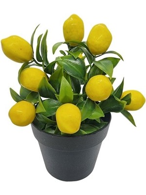 Çiçekmisin Mini Saksıda Yapay Limon Çiçeği