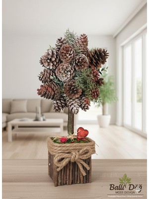 Masa Üstü Kozalak Ağacı